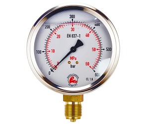 Manometr 250 bar radialny BSP1/2" fi 100mm